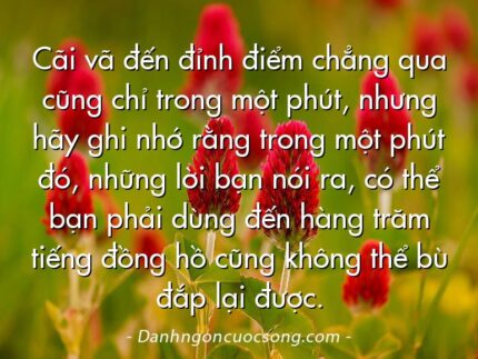 Cãi vã đến đỉnh điểm chẳng qua cũng chỉ trong một phút, nhưng hãy ghi nhớ rằng trong một phút đó, những lời bạn nói ra, có thể bạn phải dùng đến hàng trăm tiếng đồng hồ cũng không thể bù đắp lại được.