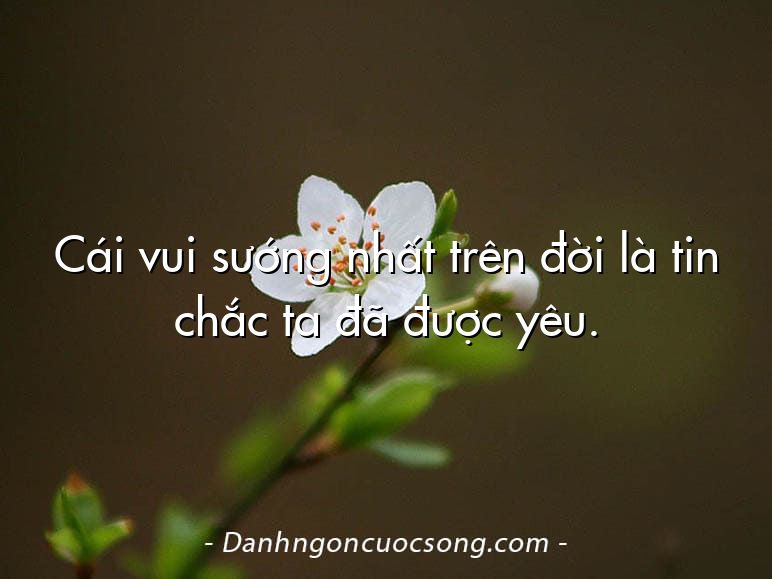 Cái vui sướng nhất trên đời là tin chắc ta đã được yêu.
