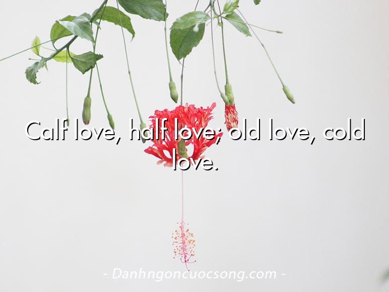 Calf love, half love; old love, cold love.