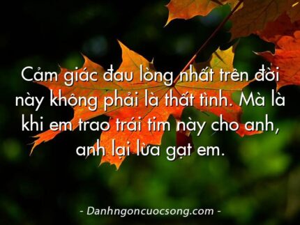 Cảm giác đau lòng nhất trên đời này không phải là thất tình. Mà là khi em trao trái tim này cho anh, anh lại lừa gạt em.
