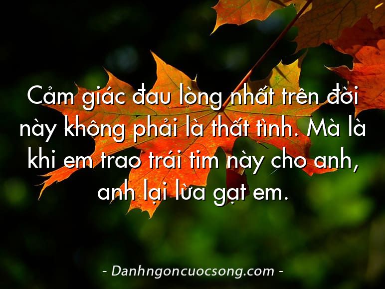 Cảm giác đau lòng nhất trên đời này không phải là thất tình. Mà là khi em trao trái tim này cho anh, anh lại lừa gạt em.