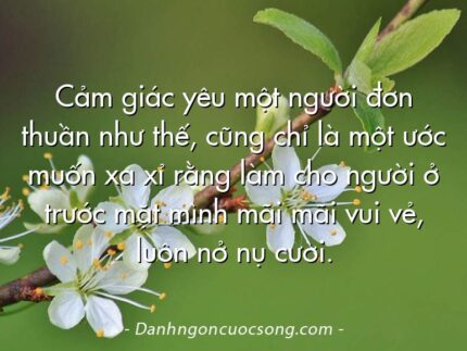 Cảm giác yêu một người đơn thuần như thế, cũng chỉ là một ước muốn xa xỉ rằng làm cho người ở trước mặt mình mãi mãi vui vẻ, luôn nở nụ cười.