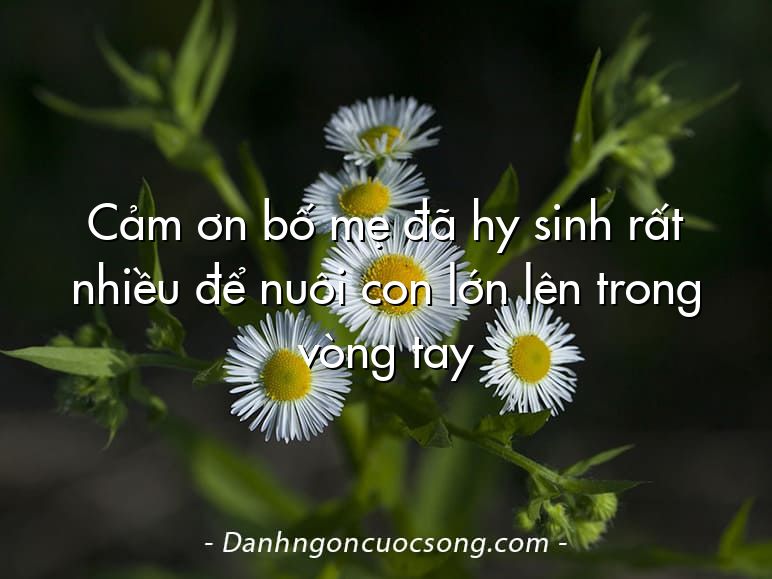 Cảm ơn bố mẹ đã hy sinh rất nhiều để nuôi con lớn lên trong vòng tay