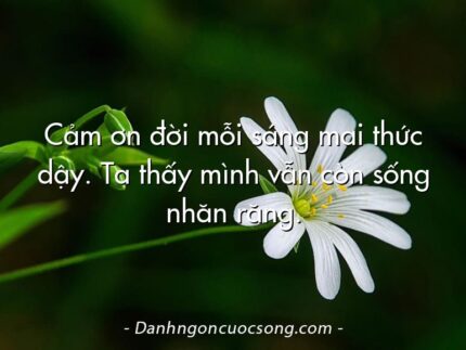 Cảm ơn đời mỗi sáng mai thức dậy. Ta thấy mình vẫn còn sống nhăn răng.