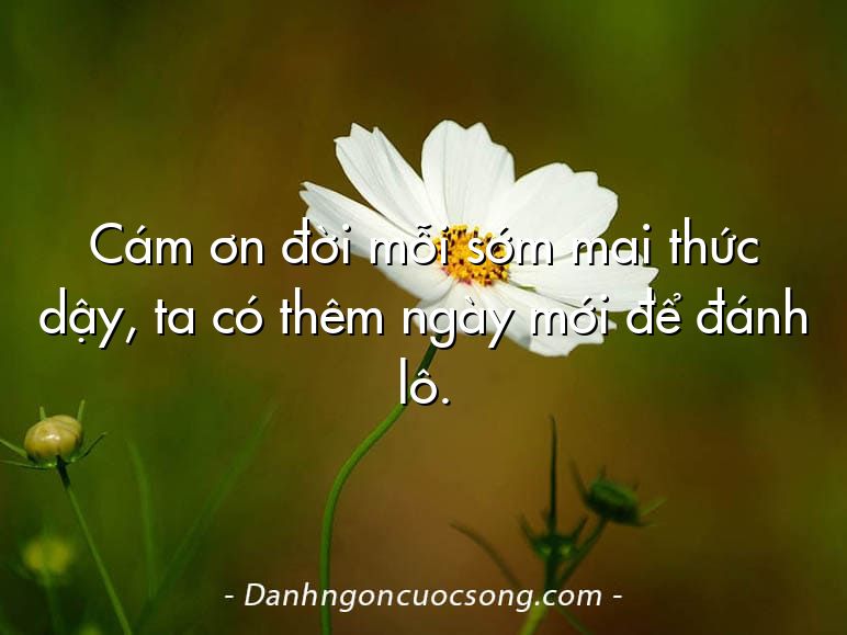 Cám ơn đời mỗi sớm mai thức dậy, ta có thêm ngày mới để đánh lô.
