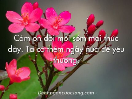 Cảm ơn đời mỗi sớm mai thức dậy. Ta có thêm ngày nữa để yêu thương.
