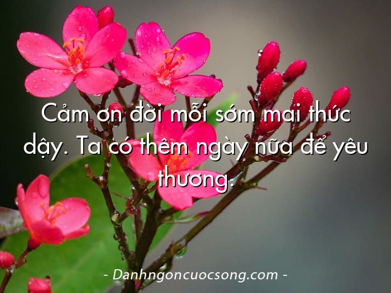 Cảm ơn đời mỗi sớm mai thức dậy. Ta có thêm ngày nữa để yêu thương.