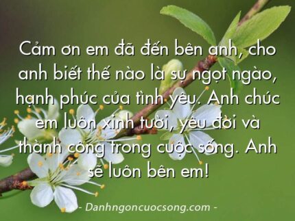 Cảm ơn em đã đến bên anh, cho anh biết thế nào là sự ngọt ngào, hạnh phúc của tình yêu. Anh chúc em luôn xinh tười, yêu đời và thành công trong cuộc sống. Anh sẽ luôn bên em!