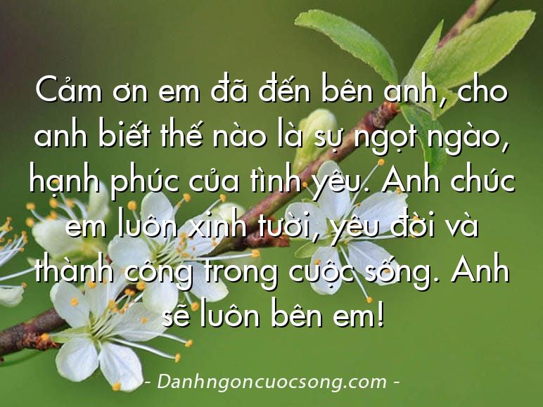 Cảm ơn em đã đến bên anh, cho anh biết thế nào là sự ngọt ngào, hạnh phúc của tình yêu. Anh chúc em luôn xinh tười, yêu đời và thành công trong cuộc sống. Anh sẽ luôn bên em!