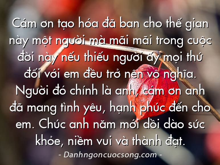 Cám ơn tạo hóa đã ban cho thế gian này một người mà mãi mãi trong cuộc đời này nếu thiếu người ấy mọi thứ đối với em đều trở nên vô nghĩa. Người đó chính là anh, cám ơn anh đã mang tình yêu, hạnh phúc đến cho em. Chúc anh năm mới dồi dào sức khỏe, niềm vui và thành đạt.