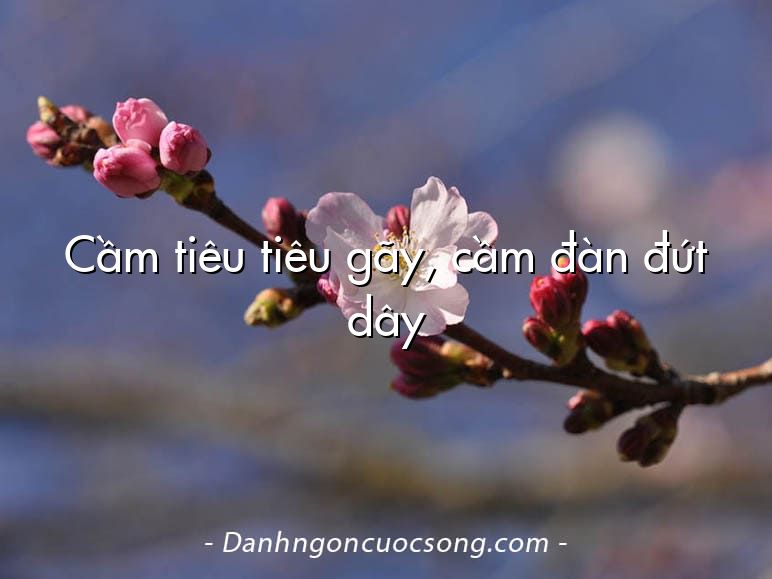 Cầm tiêu tiêu gãy, cầm đàn đứt dây
