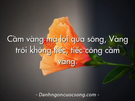 Cầm vàng mà lội qua sông, Vàng trôi không tiếc, tiếc công cầm vàng.