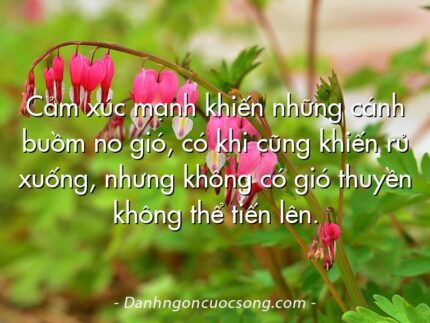Cảm xúc mạnh khiến những cánh buồm no gió, có khi cũng khiến rủ xuống, nhưng không có gió thuyền không thể tiến lên.