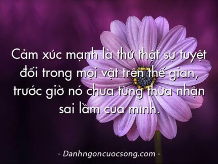 Cảm xúc mạnh là thứ thật sự tuyệt đối trong mọi vật trên thế gian, trước giờ nó chưa từng thừa nhận sai lầm của mình.