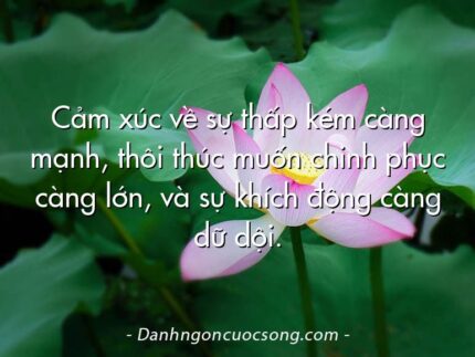 Cảm xúc về sự thấp kém càng mạnh, thôi thúc muốn chinh phục càng lớn, và sự khích động càng dữ dội.