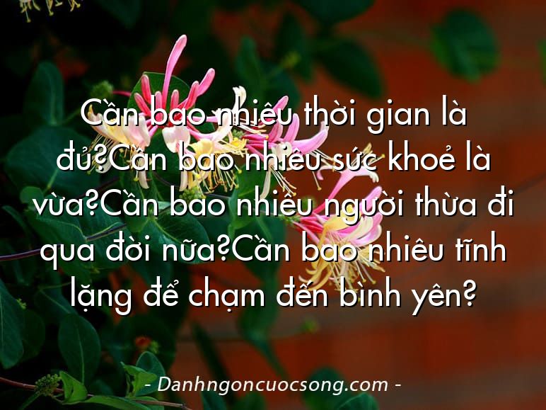 Cần bao nhiêu thời gian là đủ?Cần bao nhiêu sức khoẻ là vừa?Cần bao nhiêu người thừa đi qua đời nữa?Cần bao nhiêu tĩnh lặng để chạm đến bình yên?