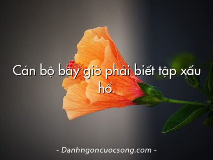 Cán bộ bây giờ phải biết tập xấu hổ.