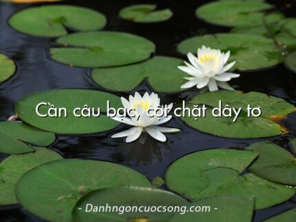 Cần câu bạc, cột chặt dây tơ