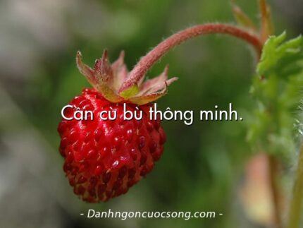Cần cù bù thông minh.