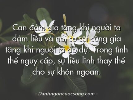 Can đảm gia tăng khi người ta dám liều và nỗi sợ sệt cũng gia tăng khi người ta do dự. Trong tình thế nguy cấp, sự liều lĩnh thay thế cho sự khôn ngoan.