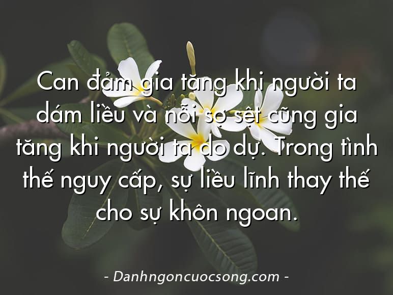 Can đảm gia tăng khi người ta dám liều và nỗi sợ sệt cũng gia tăng khi người ta do dự. Trong tình thế nguy cấp, sự liều lĩnh thay thế cho sự khôn ngoan.