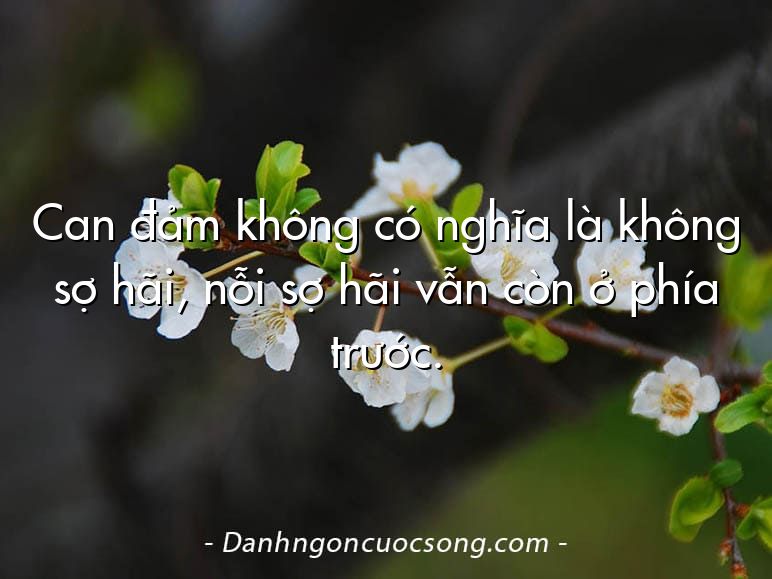 Can đảm không có nghĩa là không sợ hãi, nỗi sợ hãi vẫn còn ở phía trước.