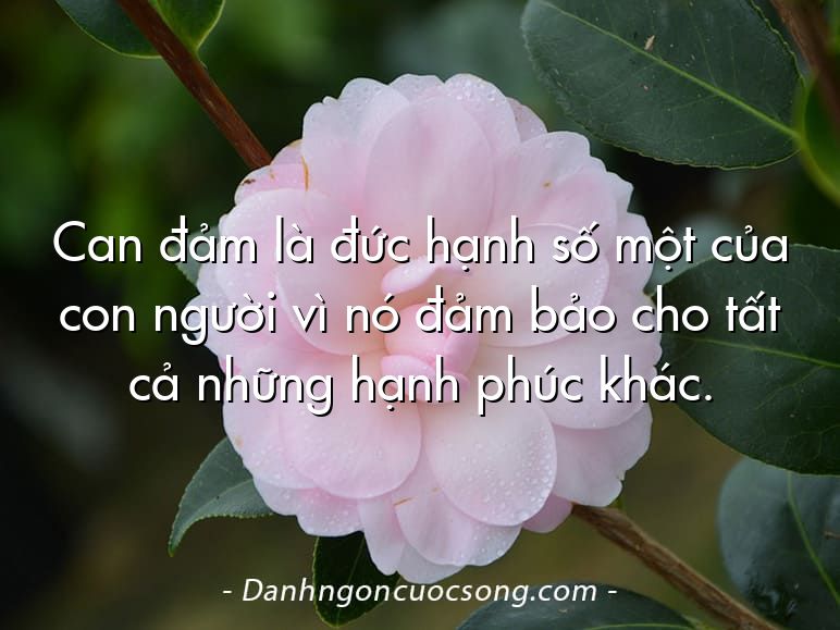 Can đảm là đức hạnh số một của con người vì nó đảm bảo cho tất cả những hạnh phúc khác.