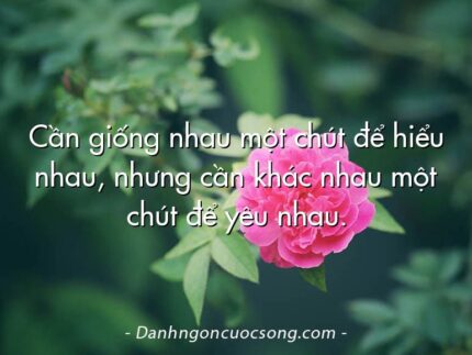 Cần giống nhau một chút để hiểu nhau, nhưng cần khác nhau một chút để yêu nhau.