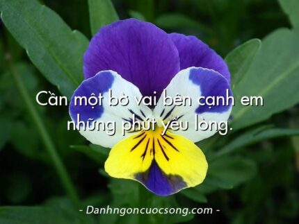 Cần một bờ vai bên cạnh em những phút yếu lòng.