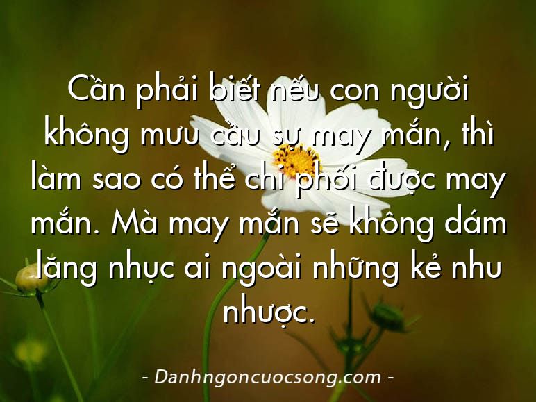 Cần phải biết nếu con người không mưu cầu sự may mắn, thì làm sao có thể chi phối được may mắn. Mà may mắn sẽ không dám lăng nhục ai ngoài những kẻ nhu nhược.