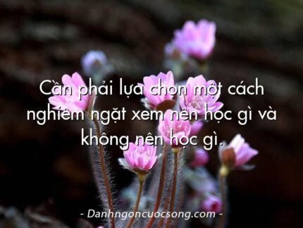 Cần phải lựa chọn một cách nghiêm ngặt xem nên học gì và không nên học gì.