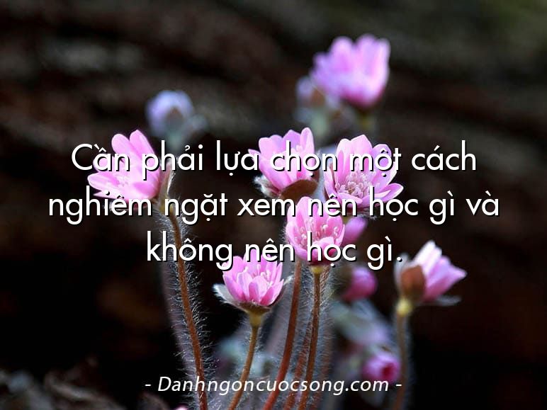 Cần phải lựa chọn một cách nghiêm ngặt xem nên học gì và không nên học gì.