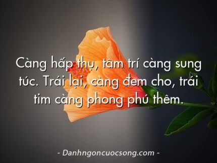 Càng hấp thụ, tâm trí càng sung túc. Trái lại, càng đem cho, trái tim càng phong phú thêm.