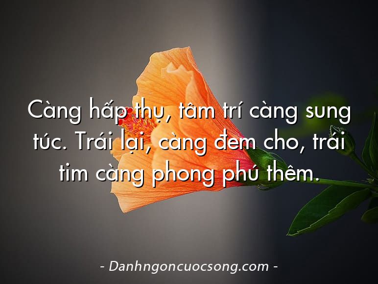 Càng hấp thụ, tâm trí càng sung túc. Trái lại, càng đem cho, trái tim càng phong phú thêm.