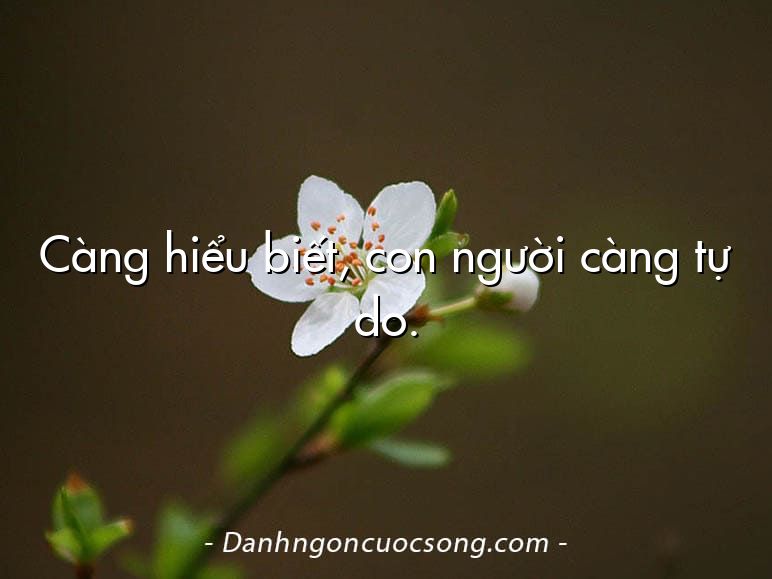 Càng hiểu biết, con người càng tự do.