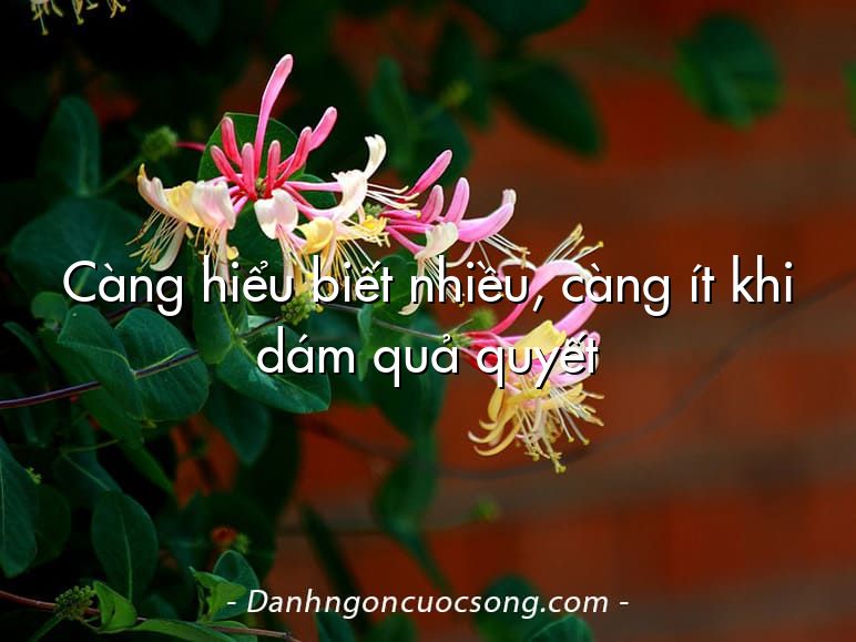 Càng hiểu biết nhiều, càng ít khi dám quả quyết