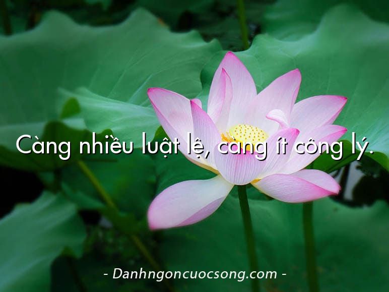 Càng nhiều luật lệ, càng ít công lý.