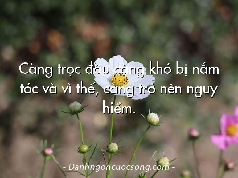 Càng trọc đầu càng khó bị nắm tóc và vì thế, càng trở nên nguy hiểm.
