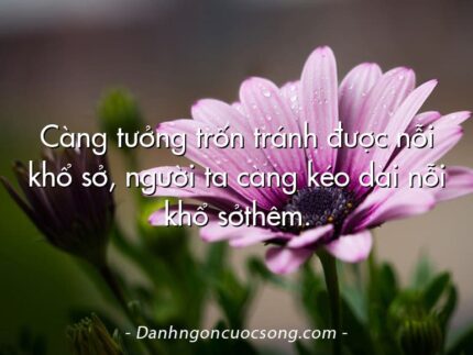 Càng tưởng trốn tránh được nỗi khổ sở, người ta càng kéo dài nỗi khổ sởthêm.