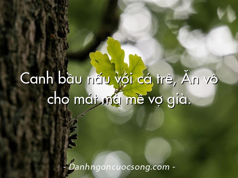 Canh bầu nấu với cá trê, Ăn vô cho mát mà mê vợ già.