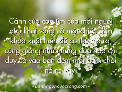 Cánh cửa con tim của mỗi người đều khát vọng có một chiếc chìa khóa xuất hiện để có thể mở ra, cũng giống như những đóa hoa chỉ duy có vào ban đêm mới đâm chồi nở rộ vậy.