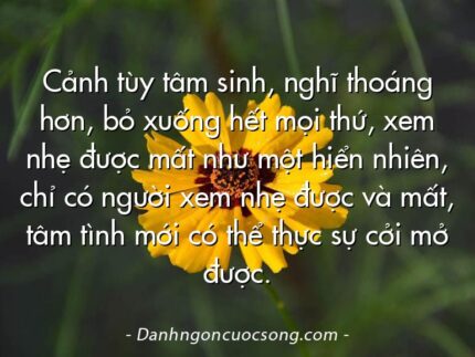 Cảnh tùy tâm sinh, nghĩ thoáng hơn, bỏ xuống hết mọi thứ, xem nhẹ được mất như một hiển nhiên, chỉ có người xem nhẹ được và mất, tâm tình mới có thể thực sự cởi mở được.