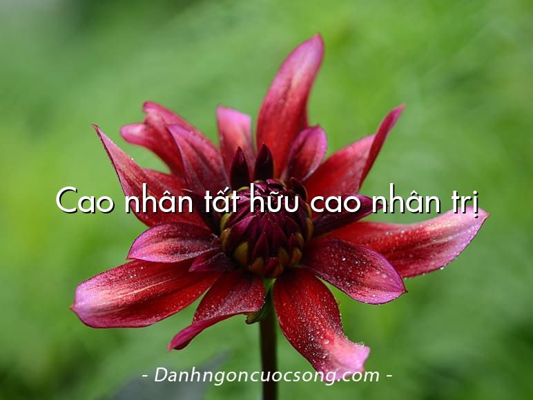 Cao nhân tất hữu cao nhân trị