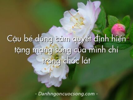Cậu bé dũng cảm quyết định hiến tặng mạng sống của mình chỉ trong chốc lát