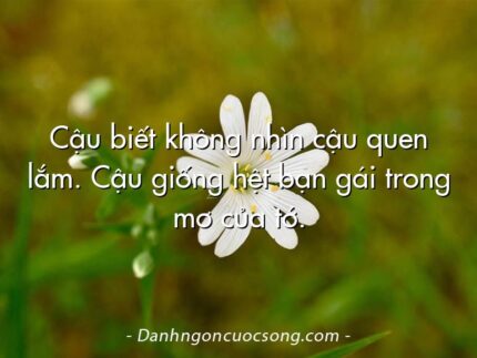 Cậu biết không nhìn cậu quen lắm. Cậu giống hệt bạn gái trong mơ của tớ.