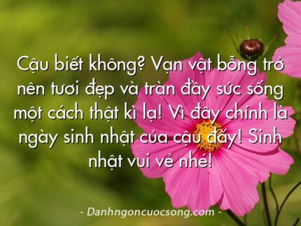 Cậu biết không? Vạn vật bỗng trở nên tươi đẹp và tràn đầy sức sống một cách thật kì lạ! Vì đây chính là ngày sinh nhật của cậu đấy! Sinh nhật vui vẻ nhé!