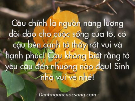 Cậu chính là nguồn năng lượng dồi dào cho cuộc sống của tớ, có cậu bên cạnh tớ thấy rất vui và hạnh phúc! Cậu không biết rằng tớ yêu cậu đến nhường nào đâu! Sinh nhậ vui vẻ nhé!