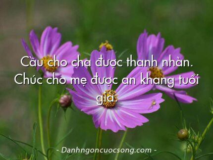 Cầu cho cha được thanh nhàn. Chúc cho mẹ được an khang tuổi già.