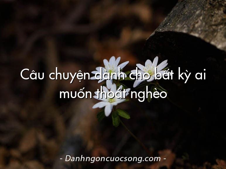 Câu chuyện dành cho bất kỳ ai muốn thoát nghèo