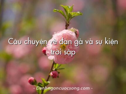 Câu chuyện về đàn gà và sự kiện trời sập
